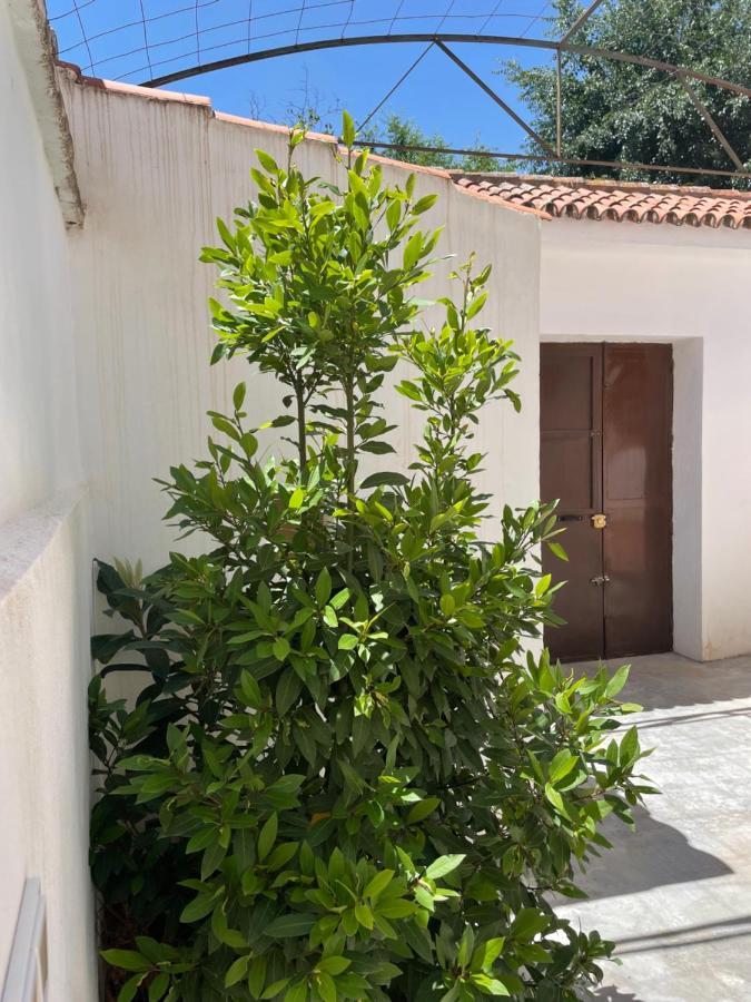 La Casita De San Nicolas Granada Eksteriør bilde